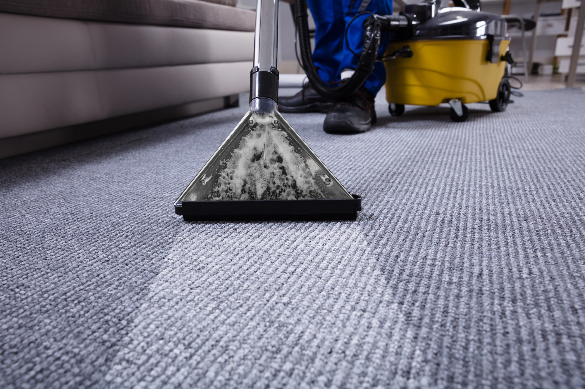 Professional carpet cleaning service