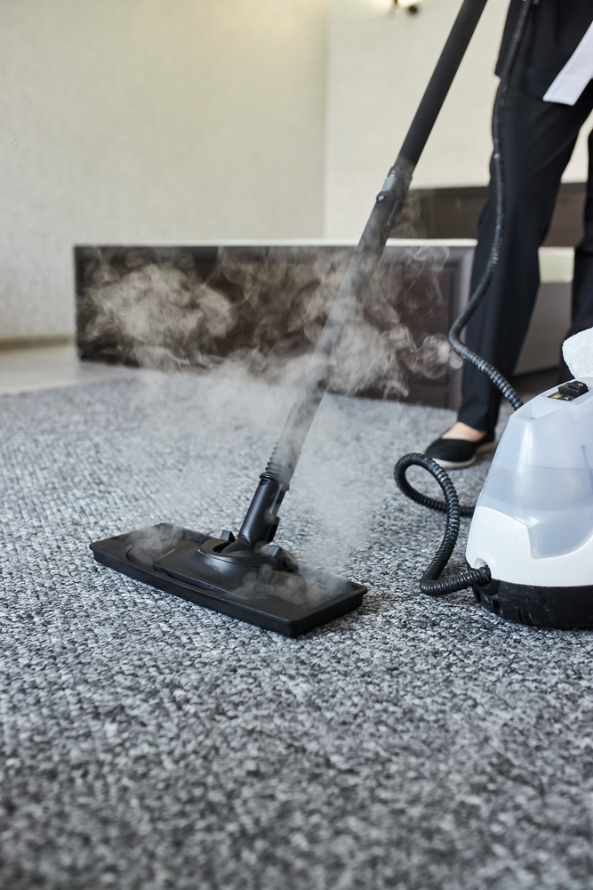 Steam Carpet Cleaning Kitchener