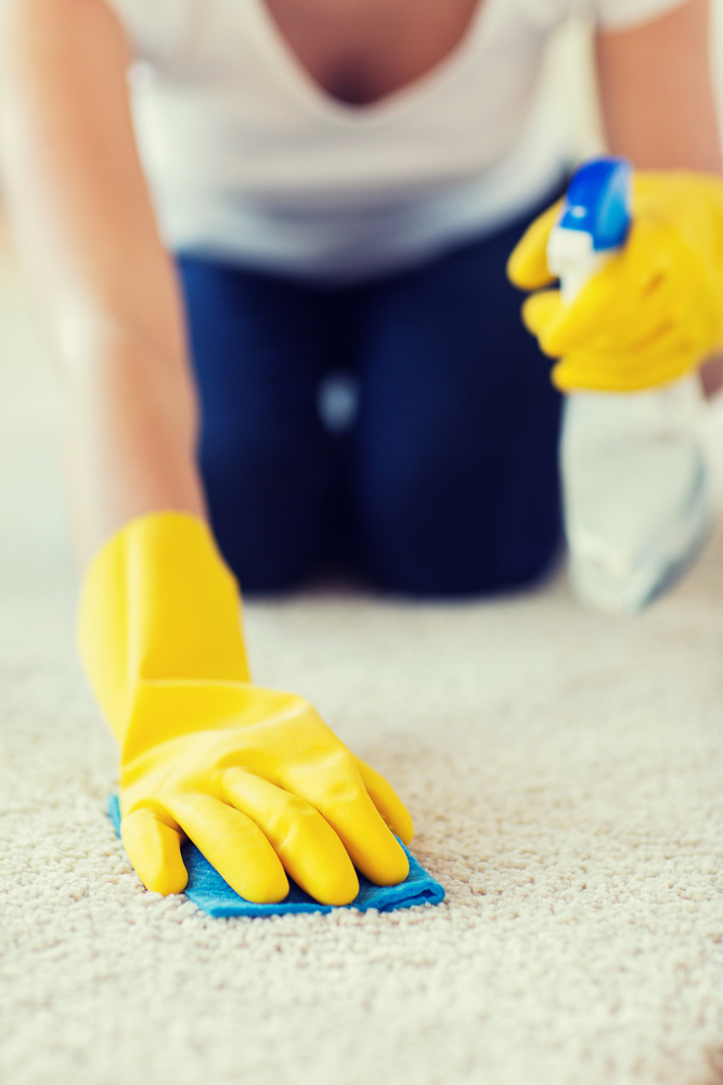 Stain Removal Kitchener